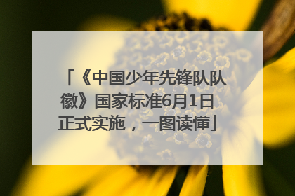 《中国少年先锋队队徽》国家标准6月1日正式实施，一图读懂