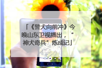 《警犬向前冲》今晚山东卫视播出，“神犬奇兵”炼成记