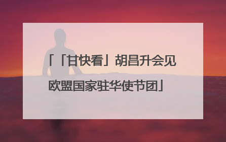 「甘快看」胡昌升会见欧盟国家驻华使节团
