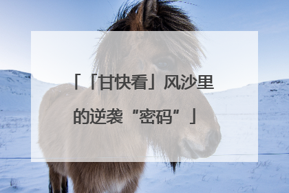 「甘快看」风沙里的逆袭“密码”