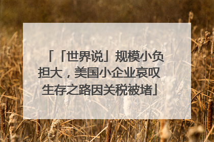 「世界说」规模小负担大，美国小企业哀叹生存之路因关税被堵