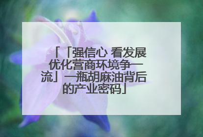 「强信心 看发展 优化营商环境争一流」一瓶胡麻油背后的产业密码