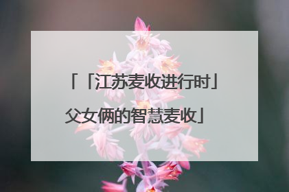 「江苏麦收进行时」父女俩的智慧麦收