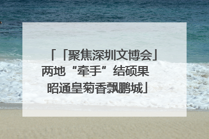 「聚焦深圳文博会」两地“牵手”结硕果 昭通皇菊香飘鹏城