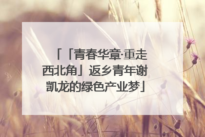 「青春华章·重走西北角」返乡青年谢凯龙的绿色产业梦