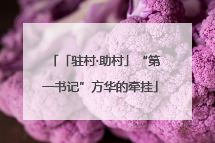 「驻村·助村」“第一书记”方华的牵挂