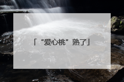 “爱心桃”熟了
