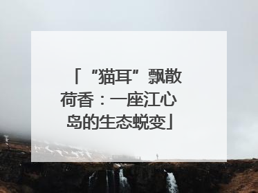 “猫耳”飘散荷香：一座江心岛的生态蜕变