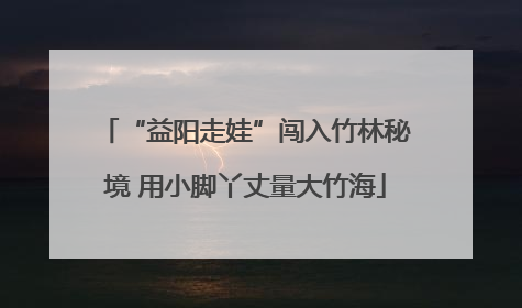 “益阳走娃”闯入竹林秘境 用小脚丫丈量大竹海