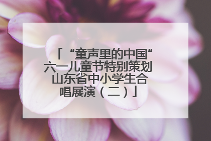 “童声里的中国”六一儿童节特别策划 山东省中小学生合唱展演（二）