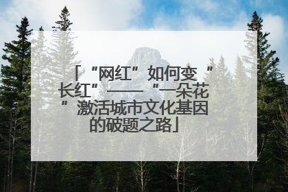 “网红”如何变“长红”——“一朵花”激活城市文化基因的破题之路