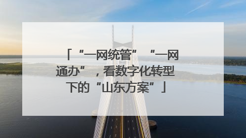 “一网统管”“一网通办”，看数字化转型下的“山东方案”