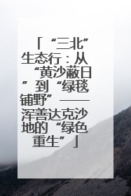“三北”生态行：从“黄沙蔽日”到“绿毯铺野”——浑善达克沙地的“绿色重生”
