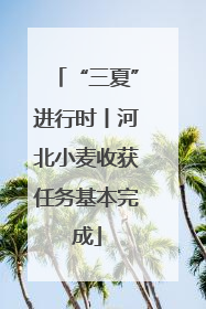 “三夏”进行时丨河北小麦收获任务基本完成