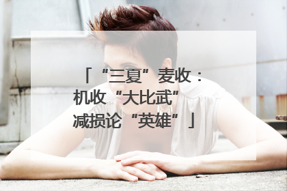 “三夏”麦收：机收“大比武” 减损论“英雄”