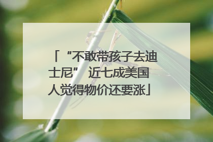 “不敢带孩子去迪士尼” 近七成美国人觉得物价还要涨