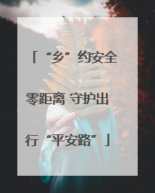 “乡”约安全零距离 守护出行“平安路”