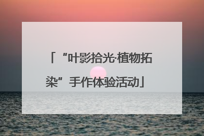 “叶影拾光·植物拓染”手作体验活动