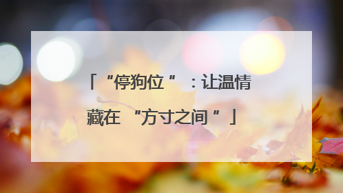 “停狗位 ”：让温情藏在 “方寸之间 ”