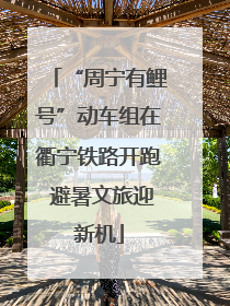 “周宁有鲤号”动车组在衢宁铁路开跑 避暑文旅迎新机