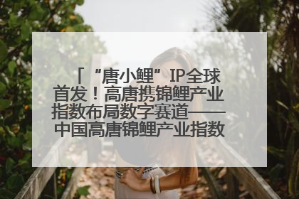 “唐小鲤”IP全球首发！高唐携锦鲤产业指数布局数字赛道——中国高唐锦鲤产业指数暨“唐小鲤”IP全球首发仪式在杭州举行