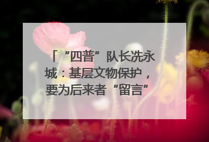 “四普”队长冼永城：基层文物保护，要为后来者“留言”｜文化中国行·我在广东找文物