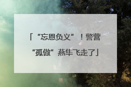 “忘恩负义”！警营“孤傲”燕隼飞走了