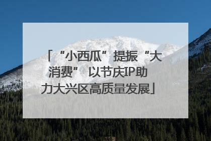 “小西瓜”提振“大消费” 以节庆IP助力大兴区高质量发展