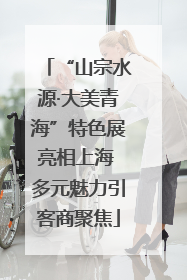 “山宗水源·大美青海”特色展亮相上海 多元魅力引客商聚焦