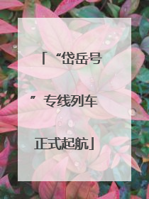 “岱岳号”专线列车正式起航
