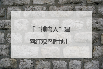 “捕鸟人”建网红观鸟胜地