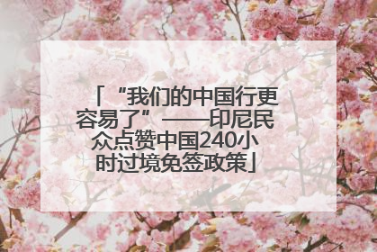 “我们的中国行更容易了”——印尼民众点赞中国240小时过境免签政策