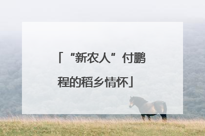 “新农人”付鹏程的稻乡情怀