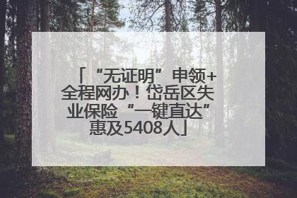 “无证明”申领+全程网办！岱岳区失业保险“一键直达”惠及5408人