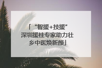 “智援+技援” 深圳援桂专家助力壮乡中医焕新颜