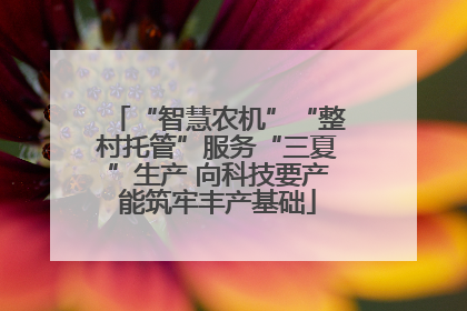 “智慧农机”“整村托管”服务“三夏”生产 向科技要产能筑牢丰产基础