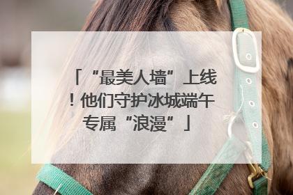 “最美人墙”上线！他们守护冰城端午专属“浪漫”