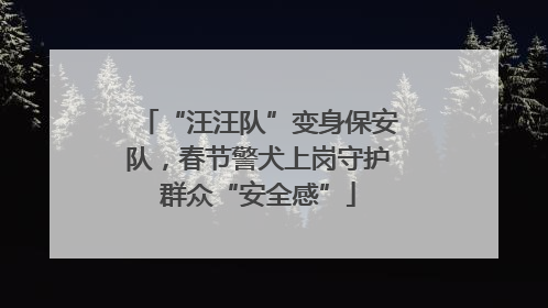 “汪汪队”变身保安队，春节警犬上岗守护群众“安全感”