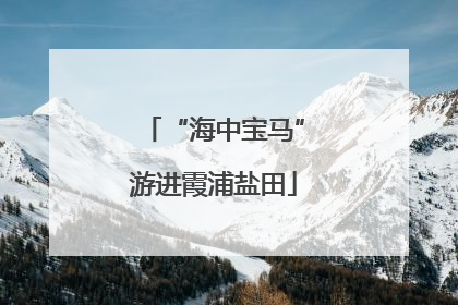 “海中宝马”游进霞浦盐田
