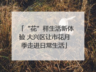 “花”样生活新体验 大兴区让市花月季走进日常生活