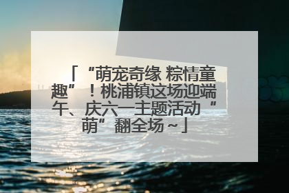 “萌宠奇缘 粽情童趣”！桃浦镇这场迎端午、庆六一主题活动“萌”翻全场～