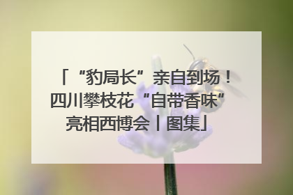 “豹局长”亲自到场！四川攀枝花“自带香味”亮相西博会丨图集