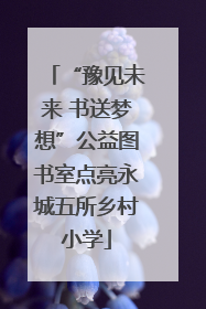 “豫见未来 书送梦想”公益图书室点亮永城五所乡村小学