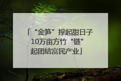“金笋”撑起甜日子 10万亩方竹“链”起团结富民产业