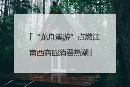 “龙舟溪游”点燃江南西商圈消费热潮