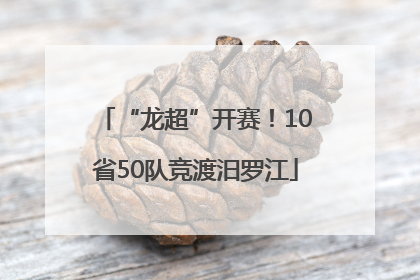“龙超”开赛！10省50队竞渡汨罗江