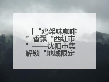 “鸡架味咖啡”香飘“西红市”——沈阳市集解锁“地域限定”消费新场景