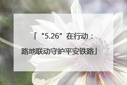“5.26”在行动：路地联动守护平安铁路