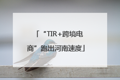 “TIR+跨境电商”跑出河南速度