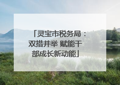 灵宝市税务局：双措并举 赋能干部成长新动能